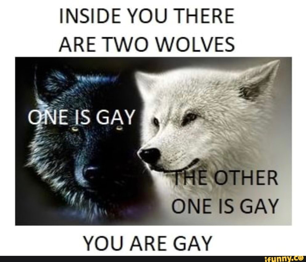 Внутри тебя два волка