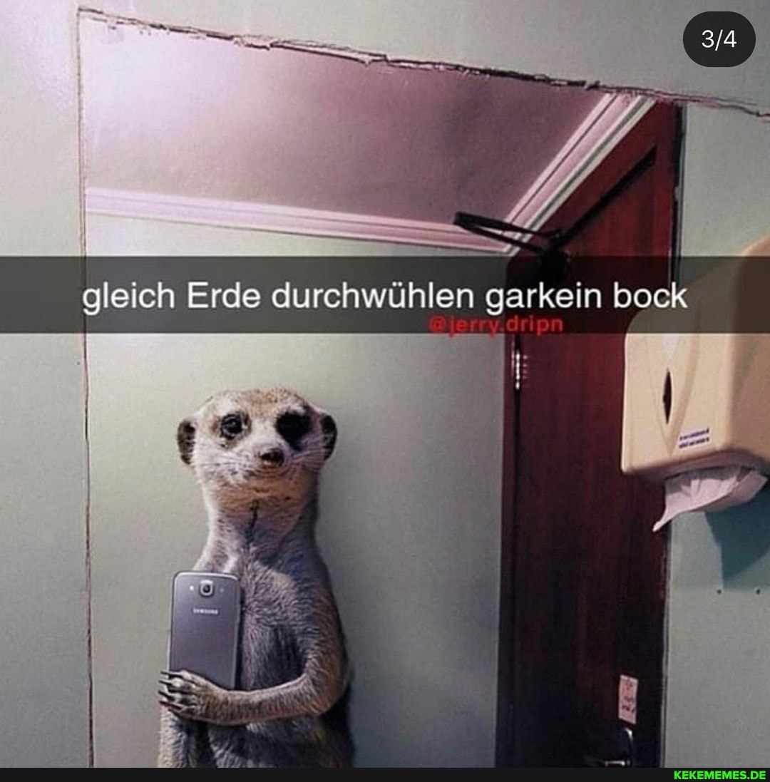 gleich Erde durchwühlen garkein
DOCK