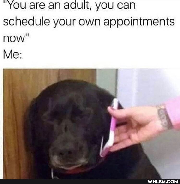 You are an adult, you can schedule your own appointments now"
Me: