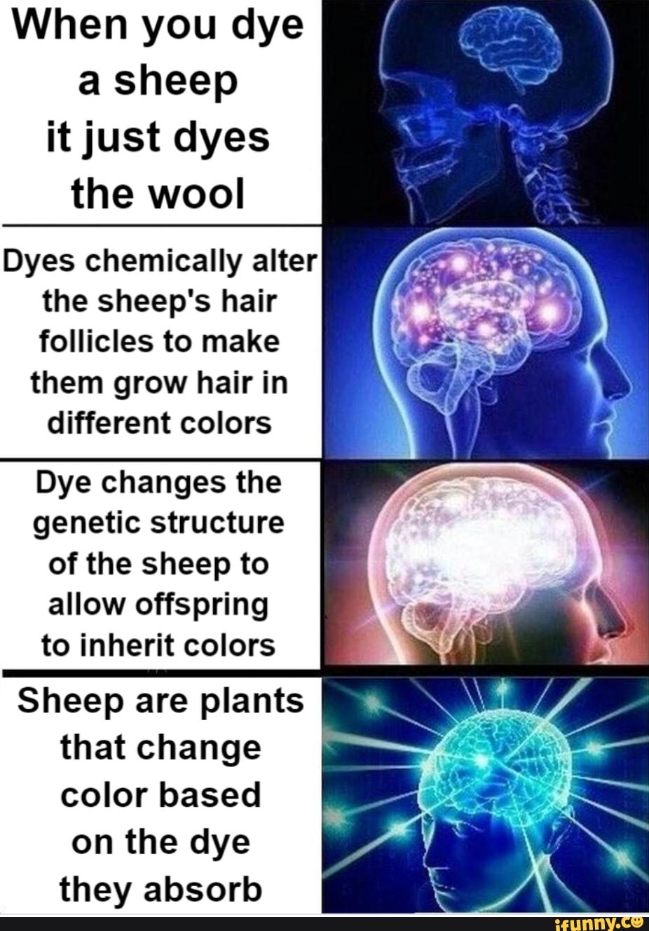 When you dye a sheep it just dyes the wool Dyes chemically alter the ...