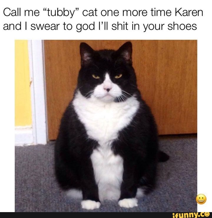 Call Me Tubby Cat One More Time Karen And I Swear To God I Ii Shit In Your Shoes Ifunny