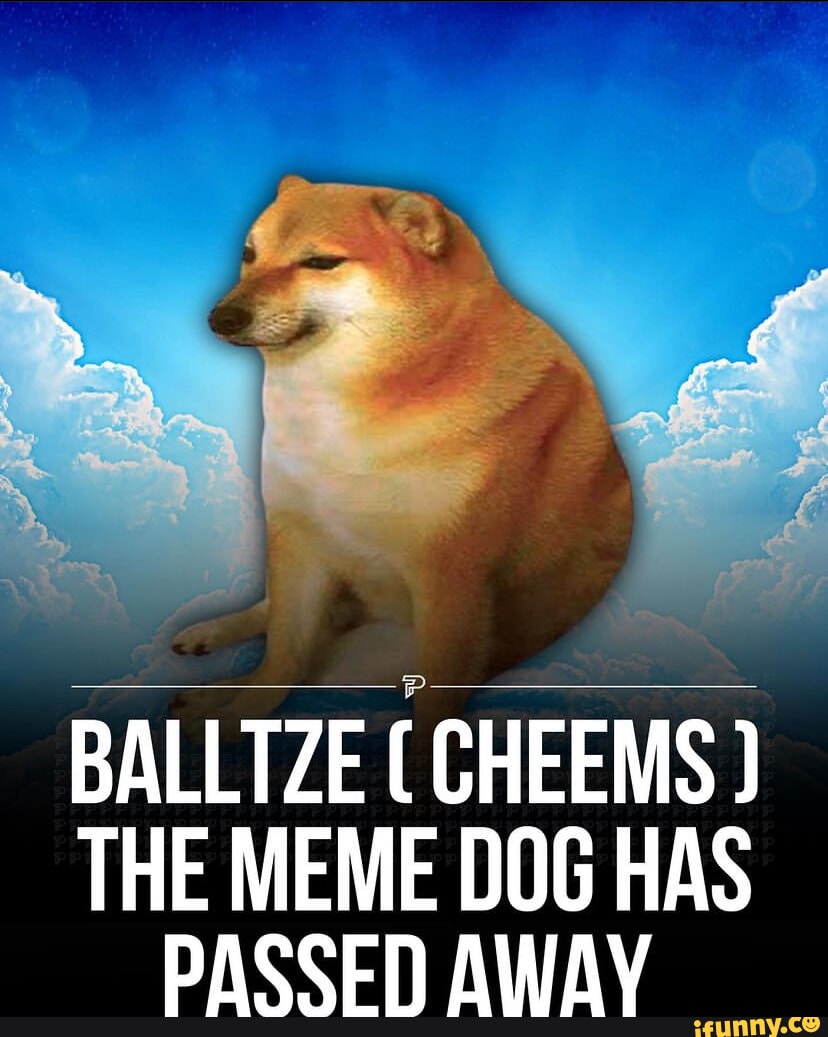 i-balltze-cheems-the-meme-dog-has-passed-away-ifunny