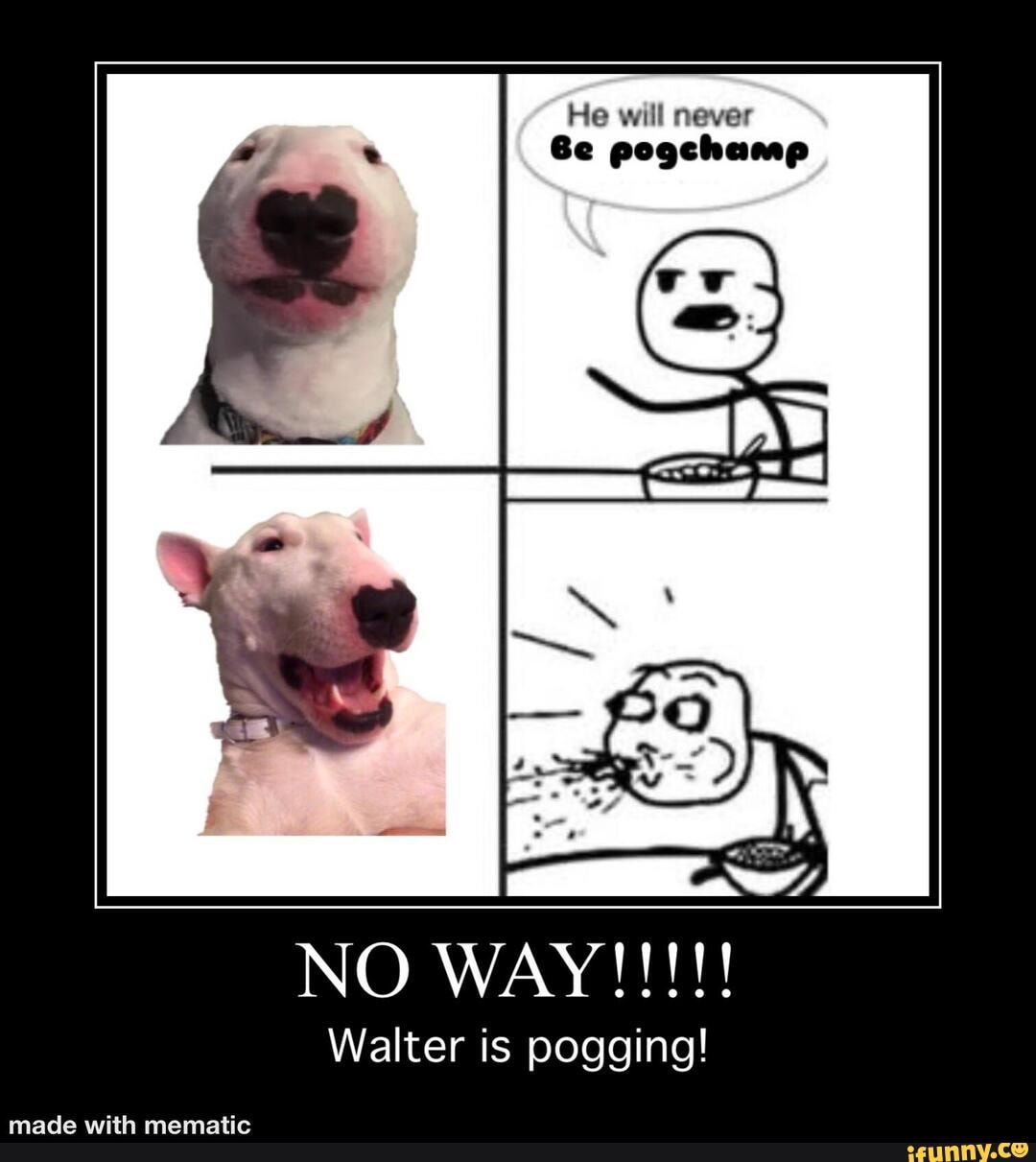 He will never
Be pogchamep
Walter is pogging!
