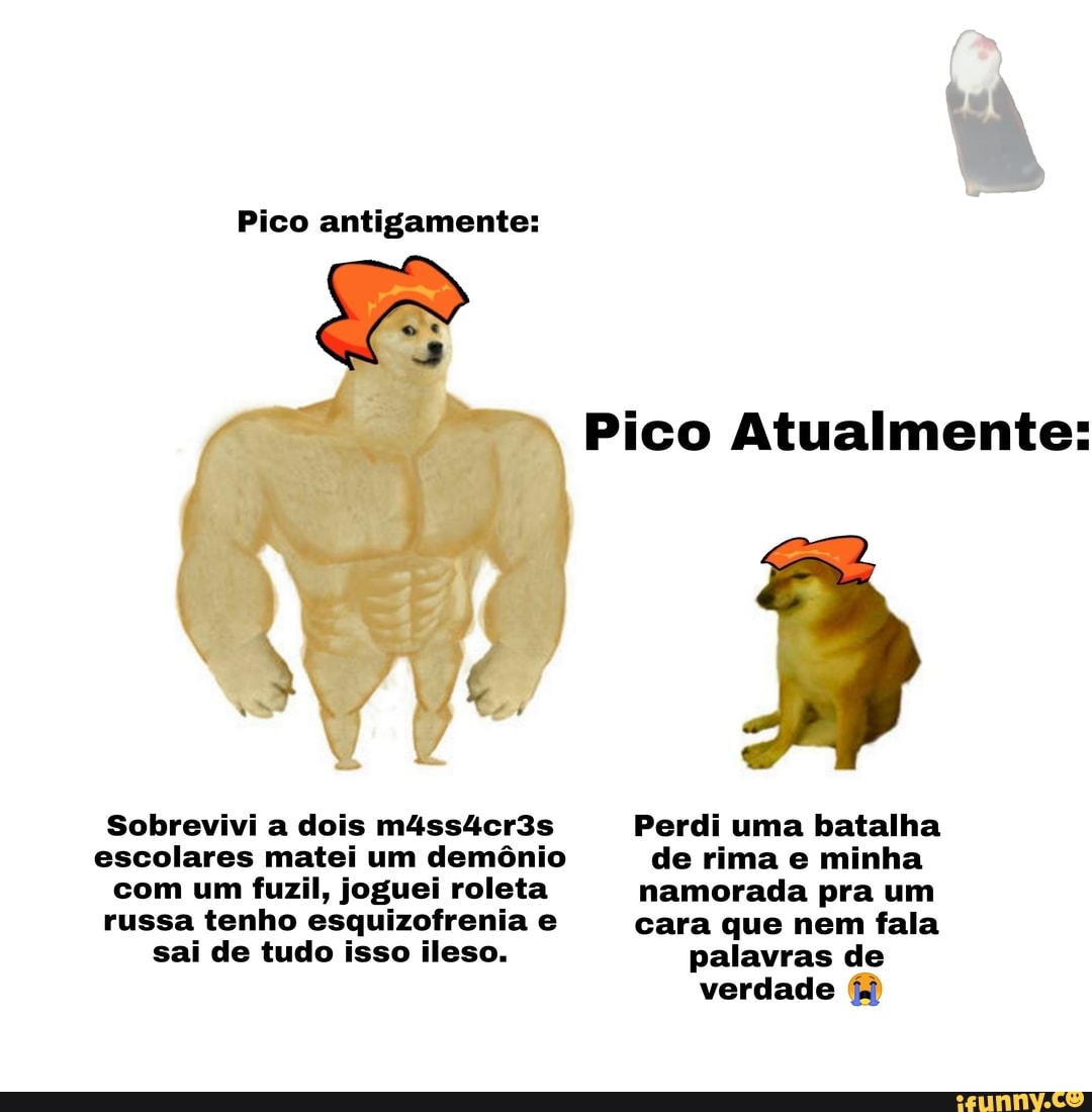 Pico antigamente:
Pico Atualmente:
Sobrevivi a dois m4ss4cr3s Perdi uma batalha escolares matei um demônio de rima e minha com um fuzil, joguei roleta namorada pra um russa tenho esquizofrenia e cara que nem fala sai de tudo isso ileso. palavras de
verdade