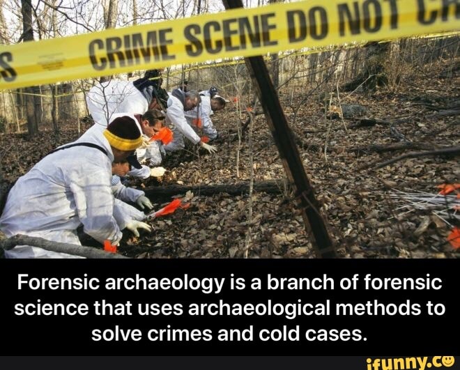 forensic archaeology dissertation ideas