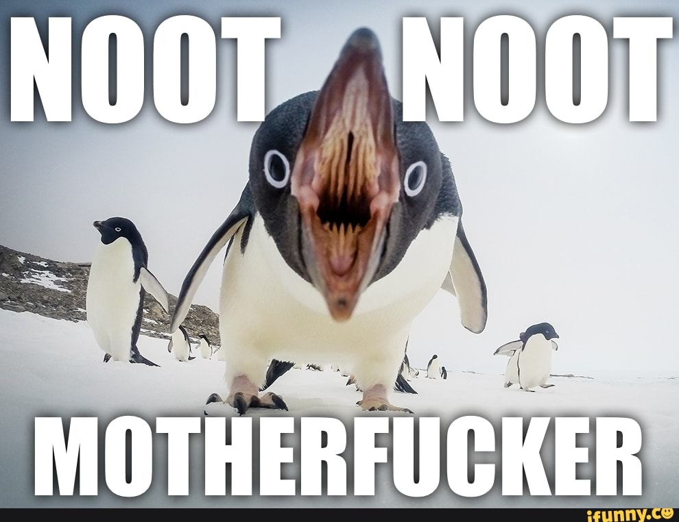 Noot Noot Nsfw