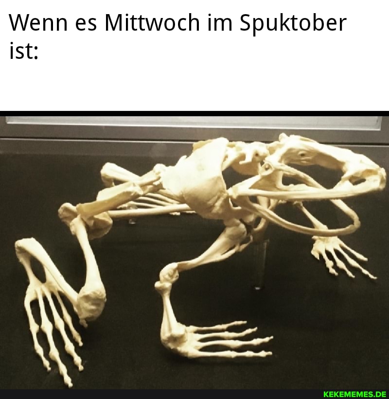 Wenn es Mittwoch im Spuktober ist:
