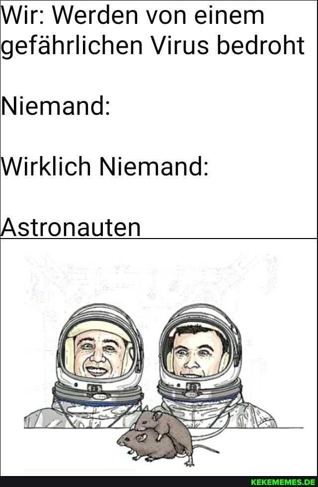 Wir: Werden von einem gefährlichen Virus bedroht
Niemand:
Wirklich Niemand:
Astronauten