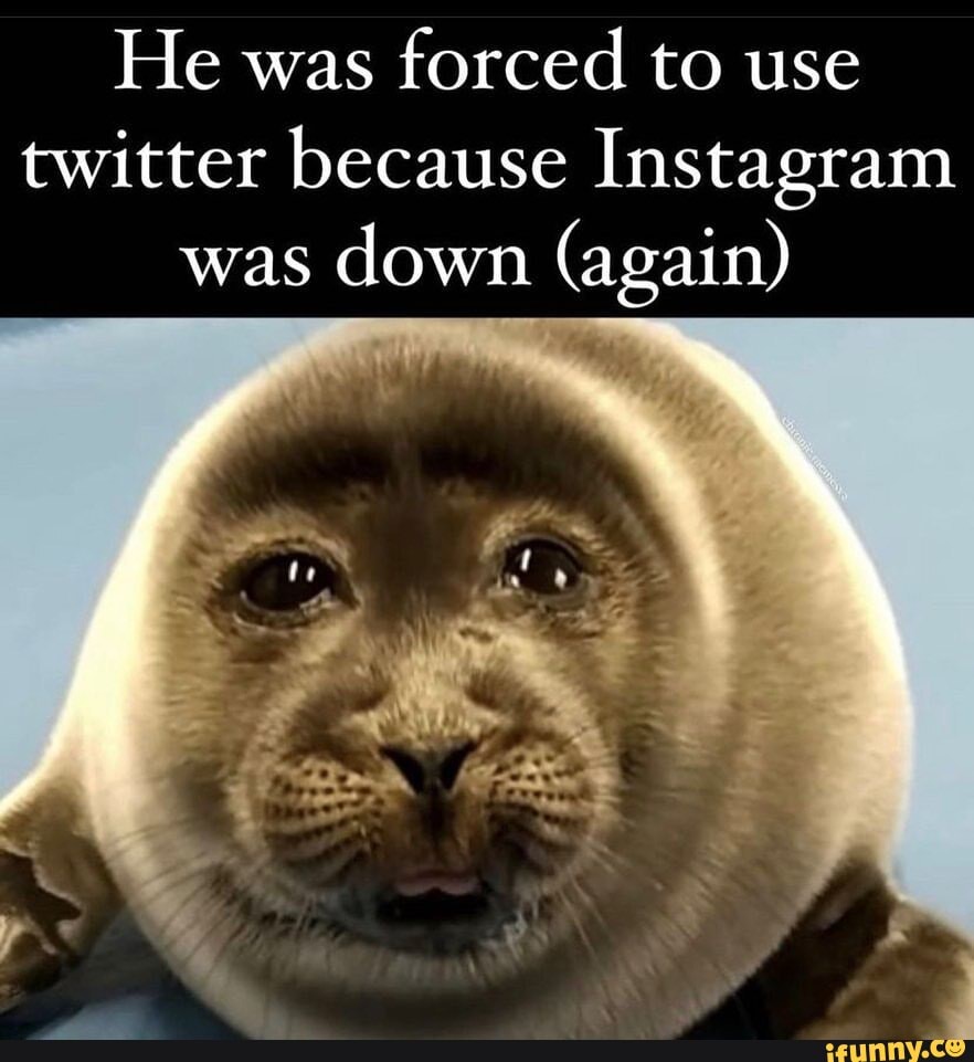 He was forced to use twitter because Instagram was down (again) - iFunny