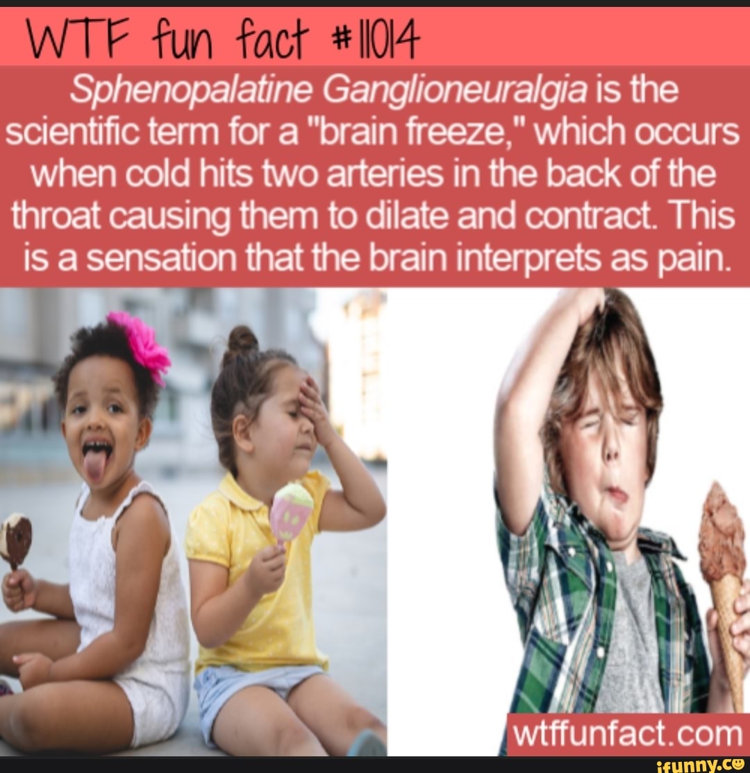 The Scientific Term For Brain Freeze Is Sphenopalatine Ganglioneuralgia