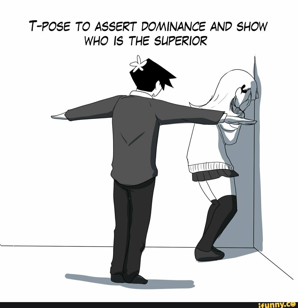 T-POSE TO ASSERT DOMINANCE AND SHOW WHO IS THE SUPERIOR - iFunny