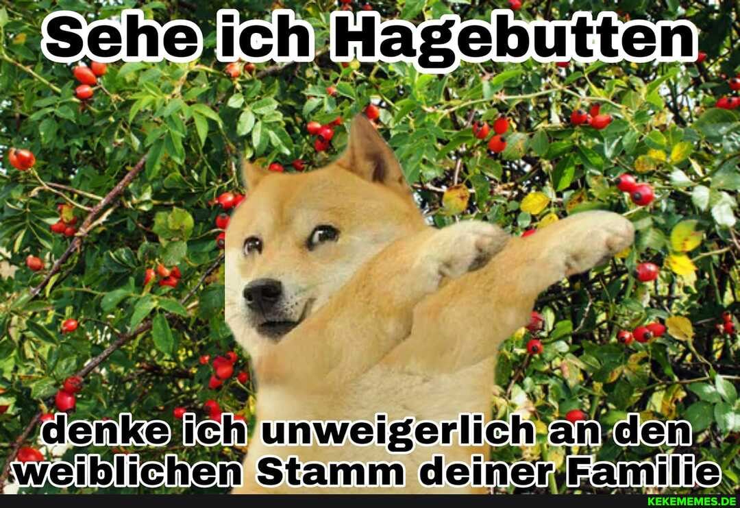 Hagebutten
N \
De