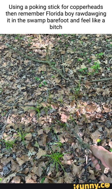 Using a poking stick for copperheads then remember Florida boy ...