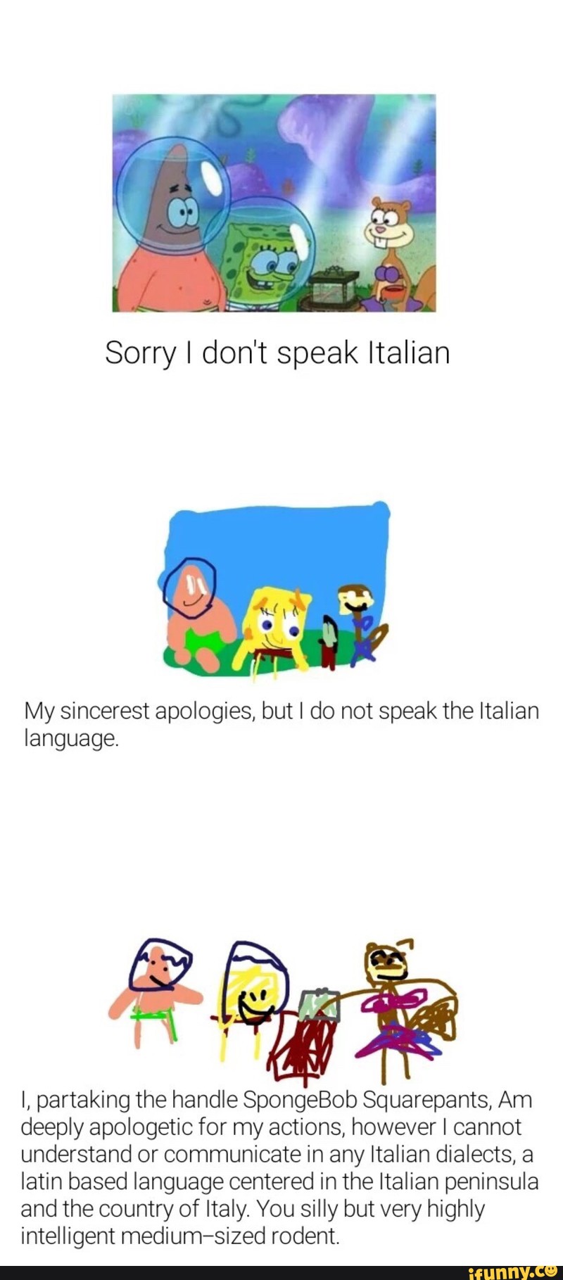 I Don T Speak Italian Meme Painted