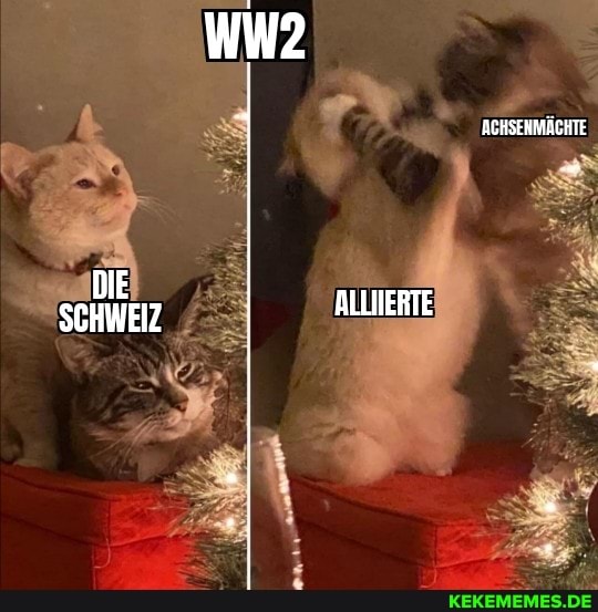 ACHSENMÄCHTE
DIE SCHWEIZ ALLIERTE