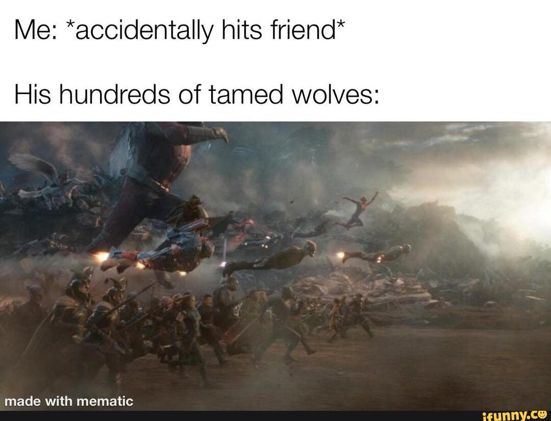 Me: "accidentally hits friend"
His hundreds of tamed wolves: