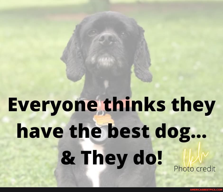 Everyone thinks they have the best dog...
& They do!
Photo credit
Photo credit