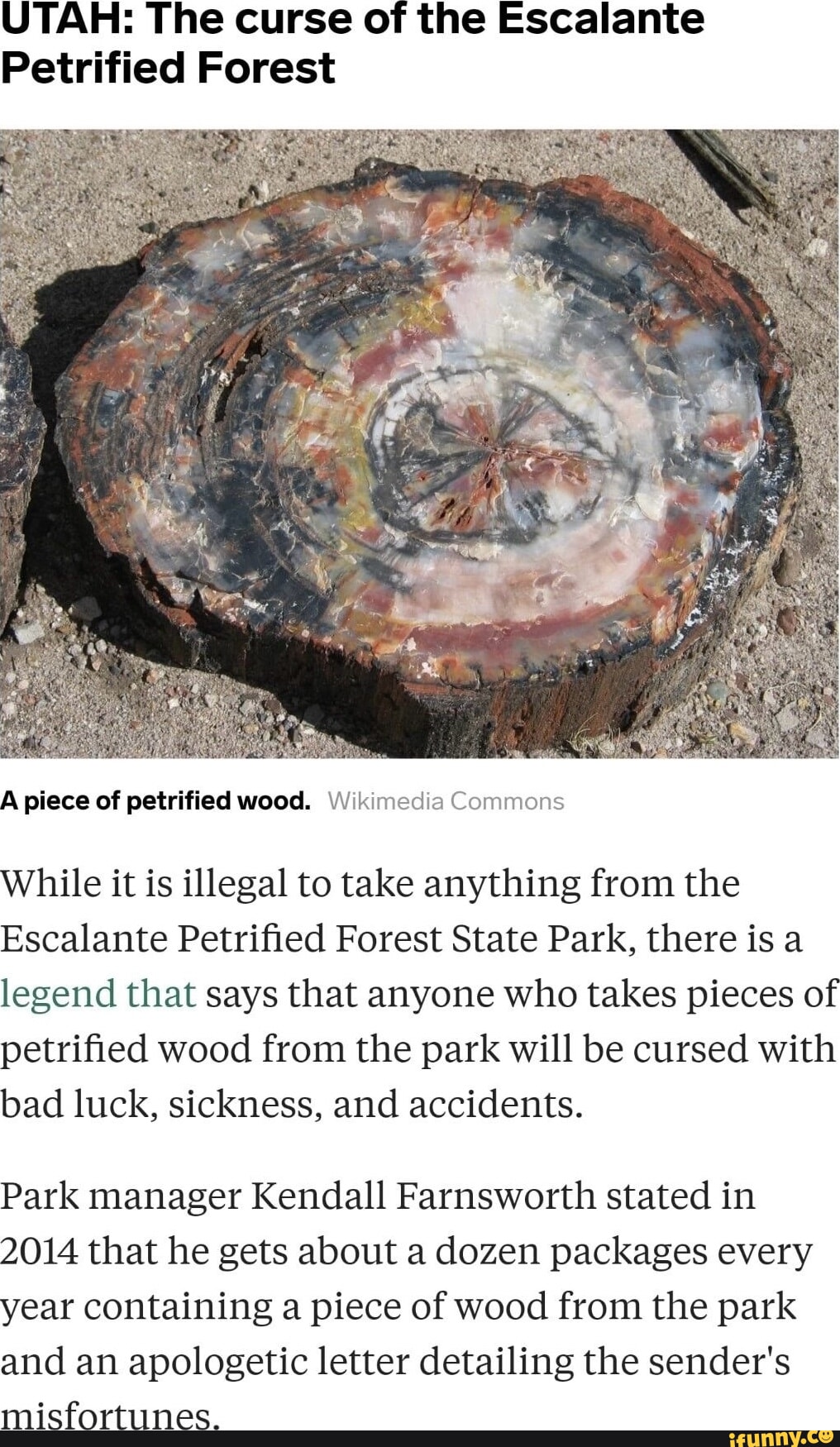 UTAH: The curse of the Escalante Petrified Forest ww A piece of ...