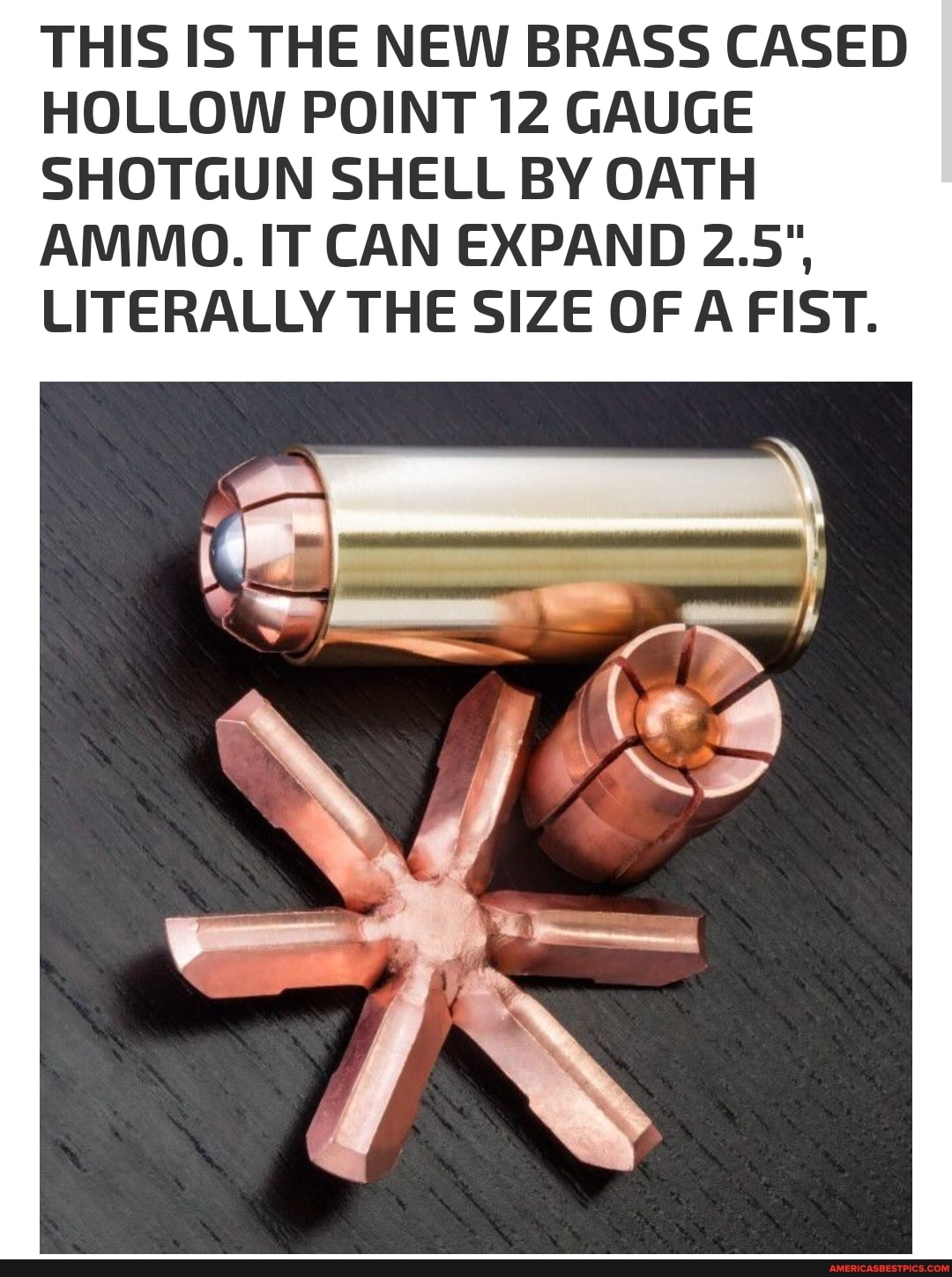 brass cased shotgun shells