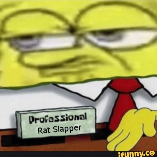 Professional Rat Slapper - iFunny