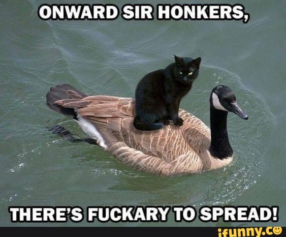 ONWARD SIR HONKERS, THERE'S FUCKARY TO SPREAD! - iFunny