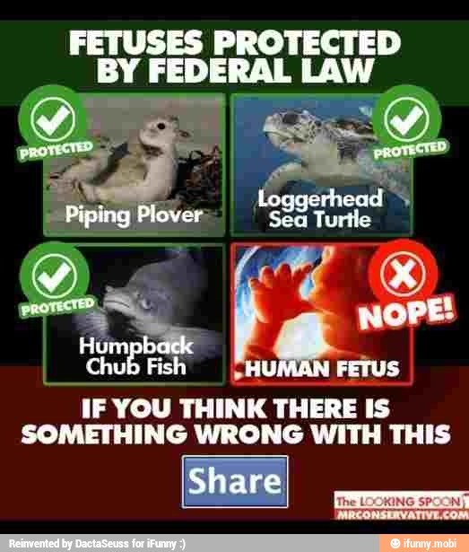 FETUSES PROTECTED
BY FEDERAL td a
5
IF YOU THINK THERE IS
SOMETHING WRONG WITH THIS