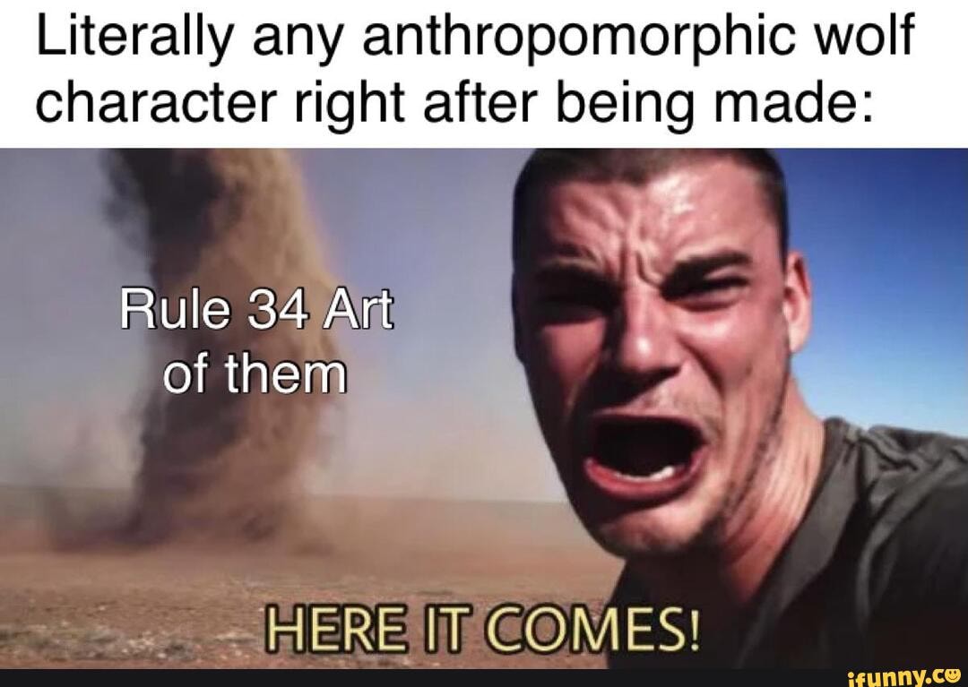 Literally any anthropomorphic wolf character right after being made ...