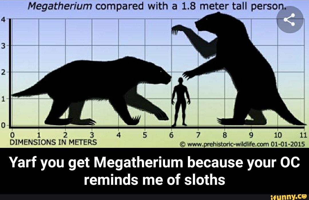 Метры по сравнению с человеком. Гигантский Ленивец МЕГАТЕРИЙ И человек. МЕГАТЕРИЙ размер с человеком. Гигантский Ленивец МЕГАТЕРИЙ размер. Мегатерии вымершие животные.