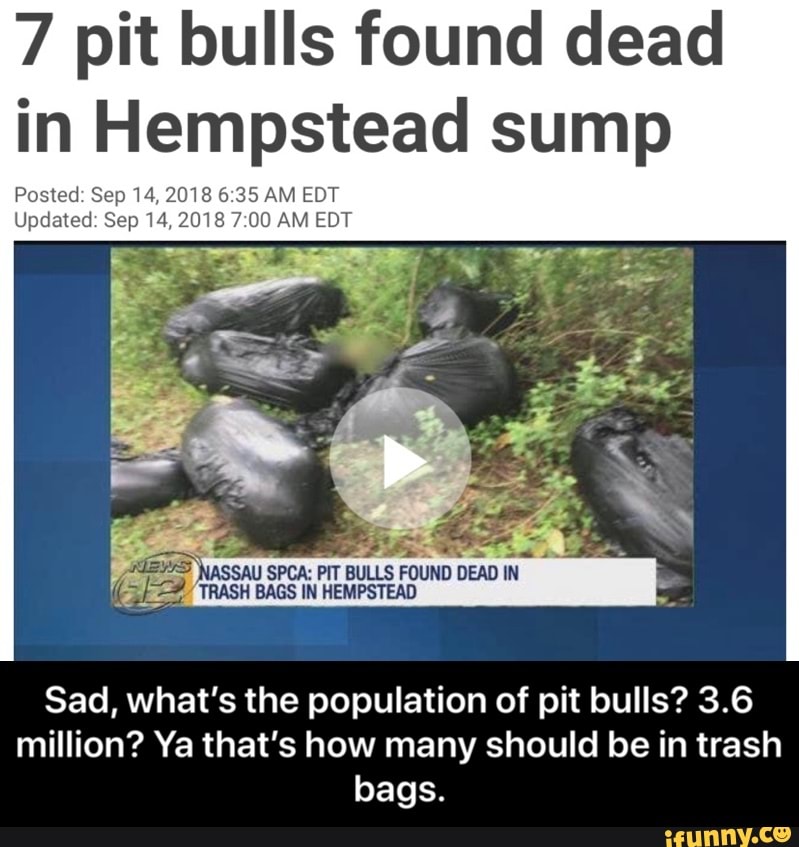 7 pit bulls found dead
in Hempstead sump
Pos‘ed Sep 8 6.35 AM EDT
Updated Sep ’ “ 00 AM EDT
Sad, what's the population of pit bulls? 3.6
million? Ya that's how many should be in trash
bags. - Sad, what’s the population of pit bulls? 3.6 million? Ya that’s how many should be in trash bags.