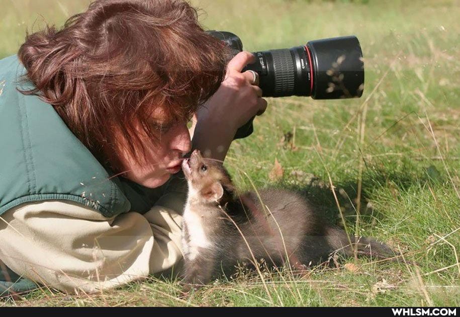 nature, photography, wildlife