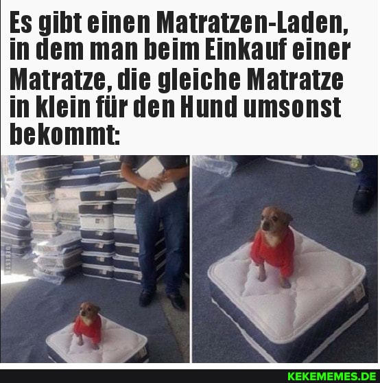 Es gibt einen Matratzen-Laden,
in dem man beim Einkauf einer
Matratze, die gleiche Matratze
in klein für den Hund umsonst
bekommt: