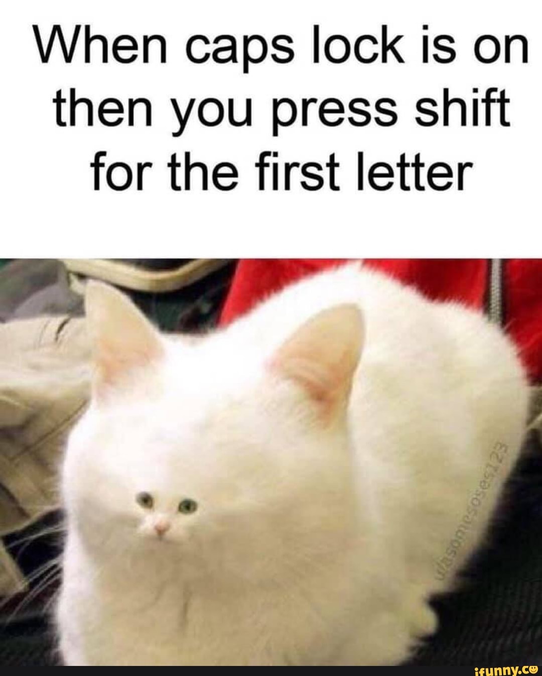 When caps lock is on then you press shift for the first letter iFunny