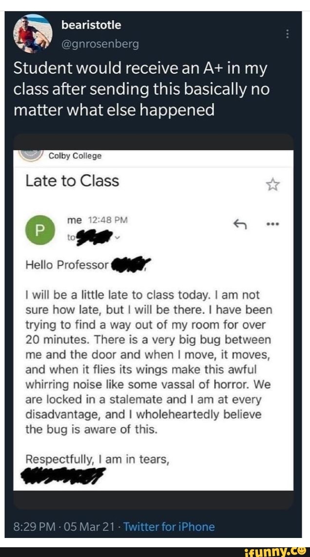 Bearistotle Gnrosenberc Student Would Receive An A In My Class After Sending This Basically No Matter