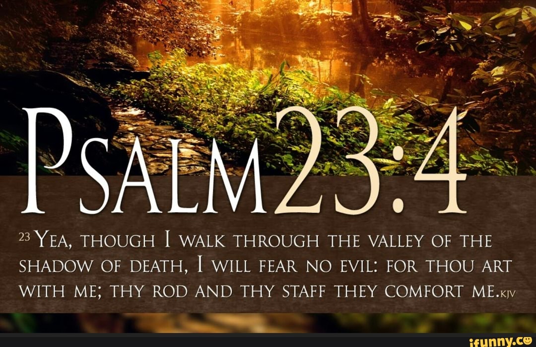 23 YEA, THOUGH WALK THROUGH THE VALLEY OF THE SHADOW OF DEATH, I WILL ...