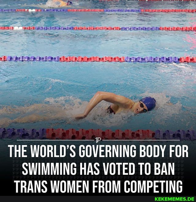 mp Le THE WORLD'S GOVERNING BODY FOR SWIMMING HAS VOTED TO BAN TRANS WOMEN ERQNM