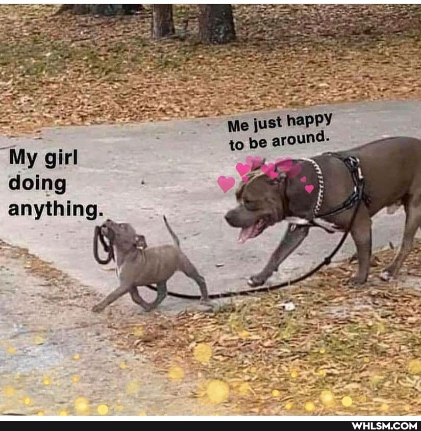 just happy to be around.
doing anything