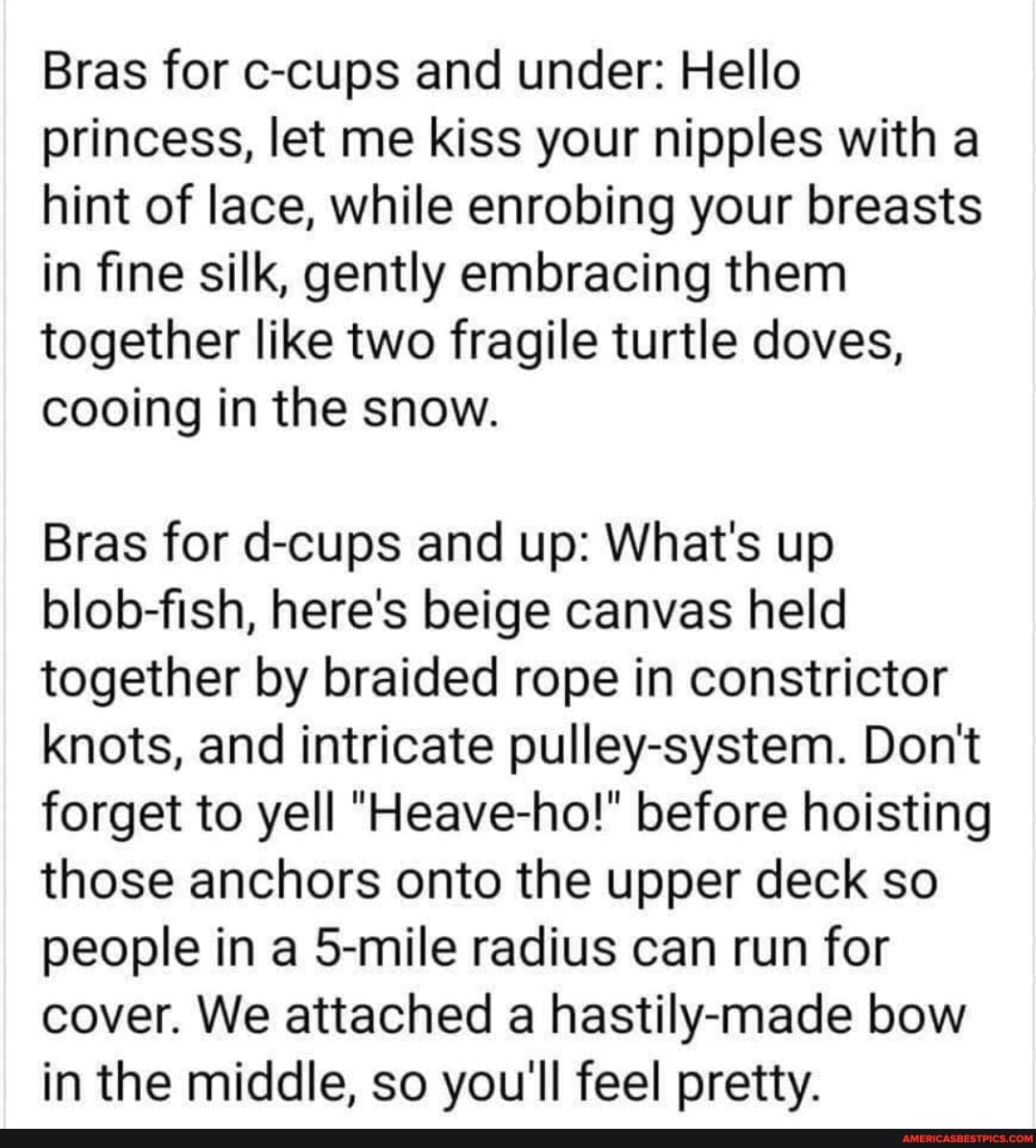 Bras for c-cups and under: Hello princess, let me kiss your nipples with a hint of lace, while enrobing your breasts in fine silk, gently embracing them together like two fragile turtle doves, cooing in the snow.
Bras for d-cups and up: What's up blob-fish, here's beige canvas held together by braided rope in constrictor knots, and intricate pulley-system. Don't forget to yell "Heave-ho!" before hoisting those anchors onto the upper deck so people in a Smile radius can run for cover. We attached a hastily-made bow in the middle, so you'll feel pretty.