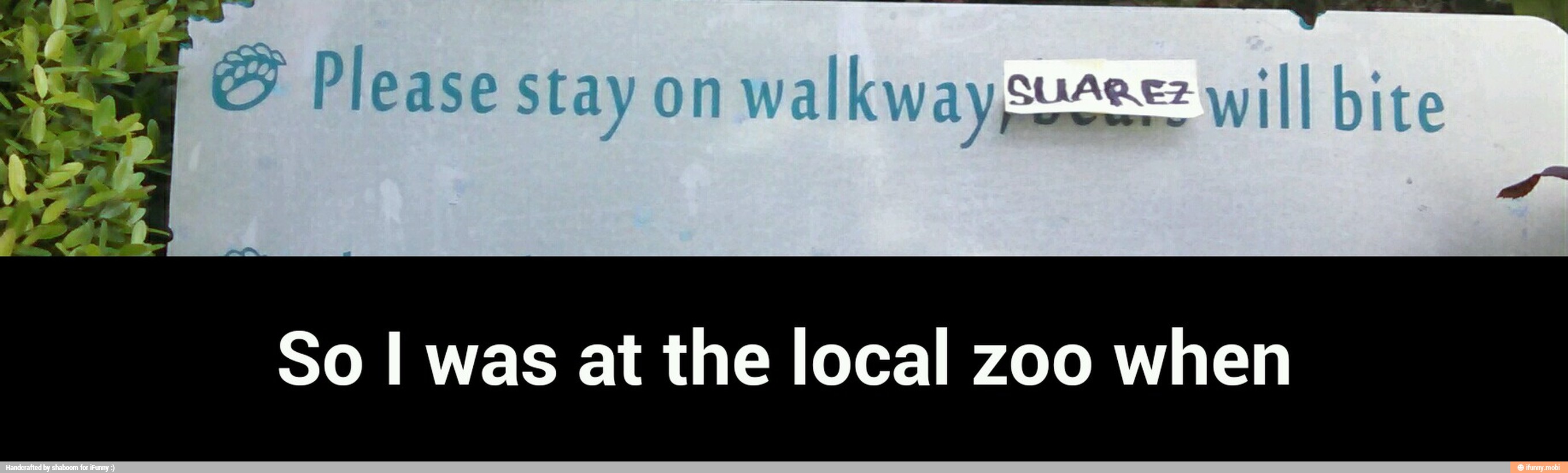 So I was at the local zoo when - So I was at the local zoo when