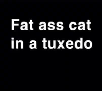 Fat ass cat in a tuxedo