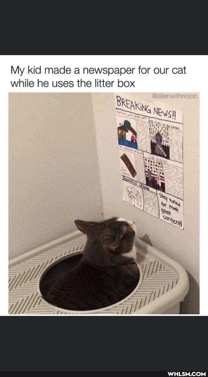 My kid made a newspaper for our cat while he uses the litter box
Be
