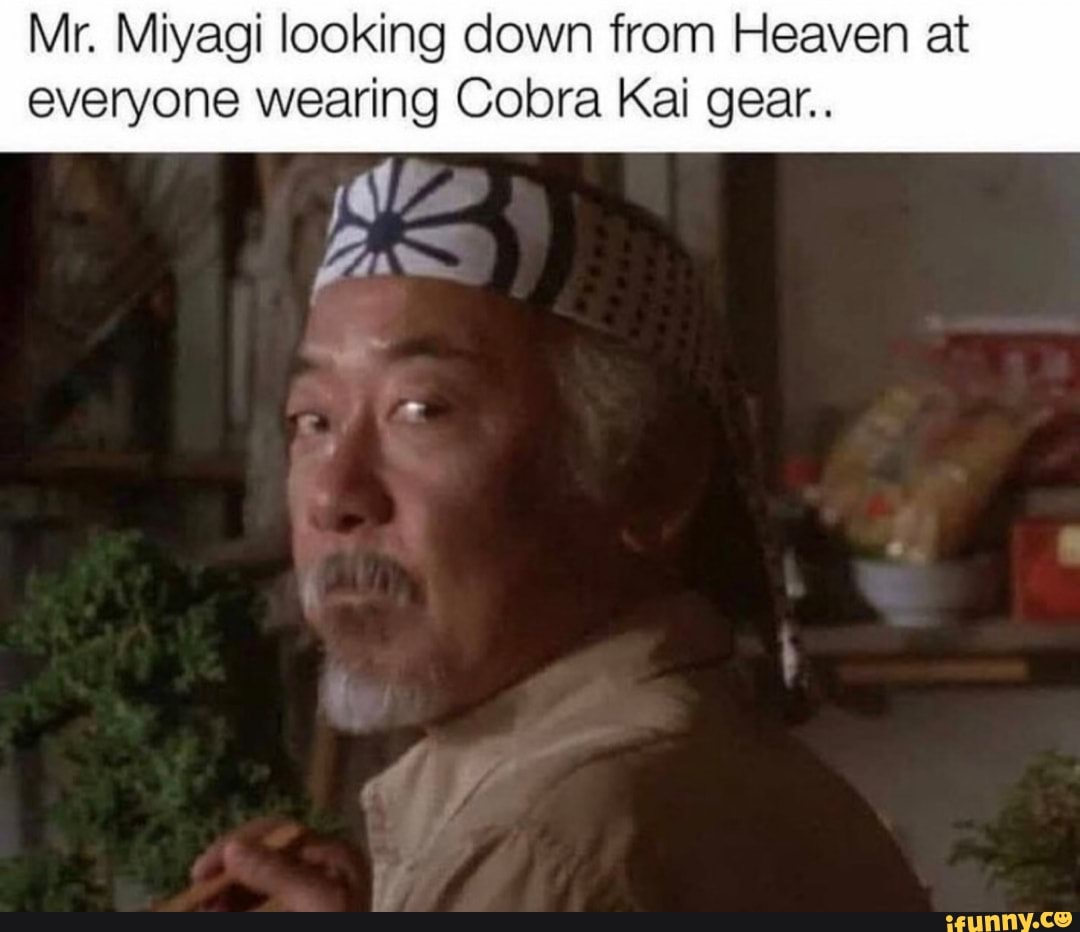 Mr. Miyagi looking down from Heaven at everyone wearing Cobra Kai gear ...