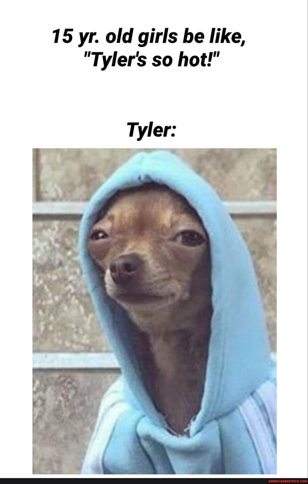 15 yr. old girls be like,
"Tyler's so hot!"
Tyler: