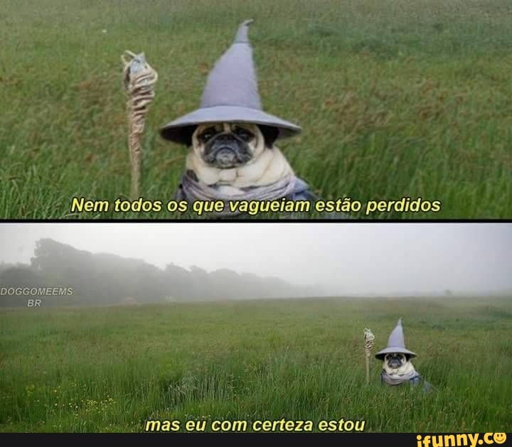 Nem todos os que vagueiam estão perdidos
DOGCOMEEMS!
BR
mas eu com certeza estou