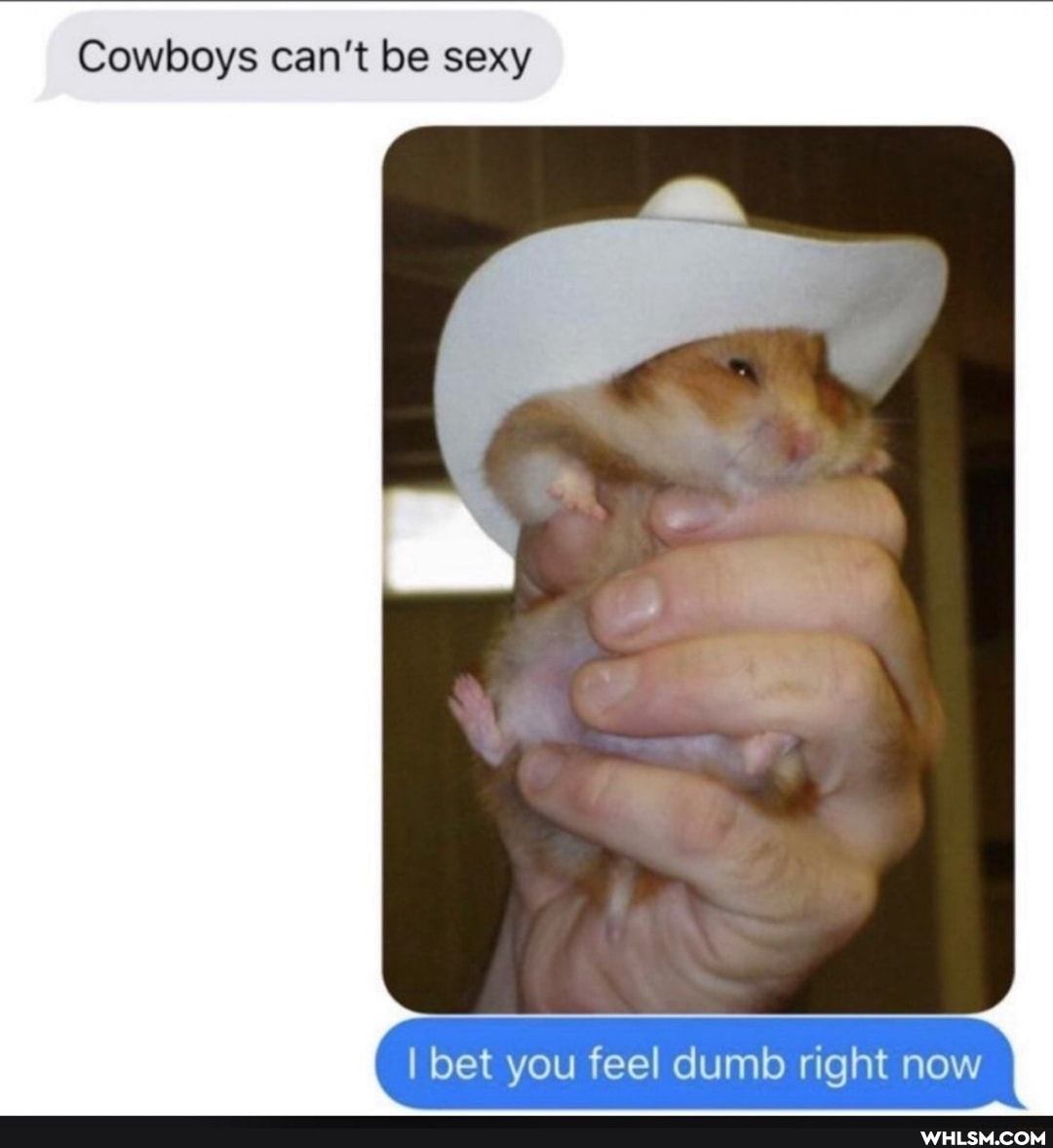 Cowboys can't be sexy
I bet you feel dumb right now