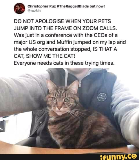 The president of france wants to ban homework 08 picture