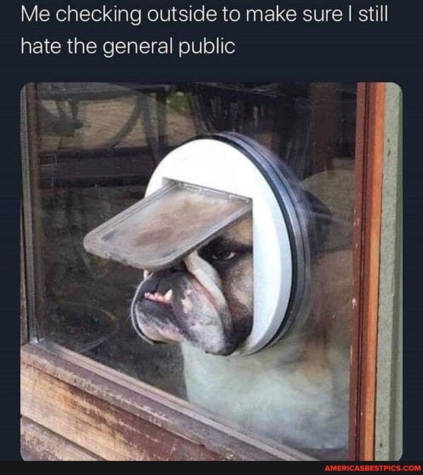 Me checking outside to make sure I still hate the general public