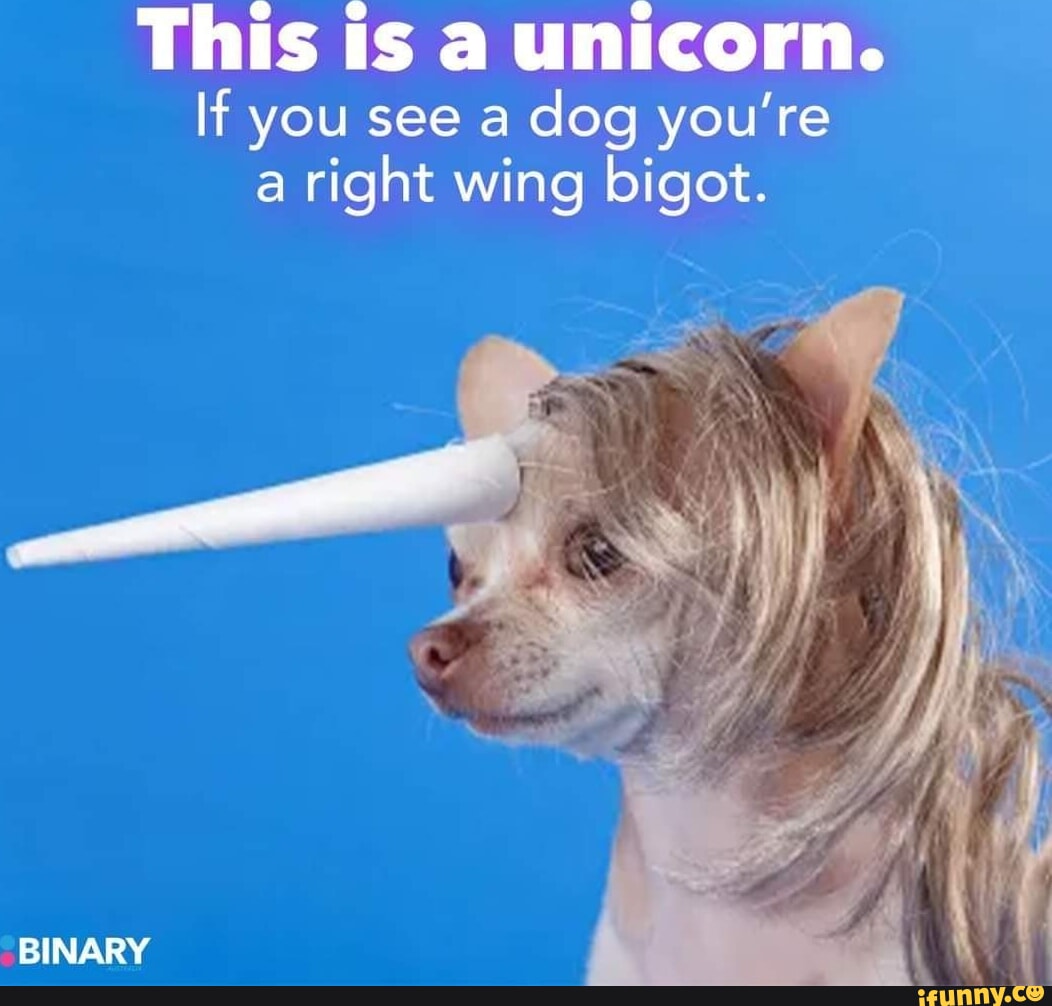 This is a unicorn. If you see a dog you're a right wing bigot. BINARY ...