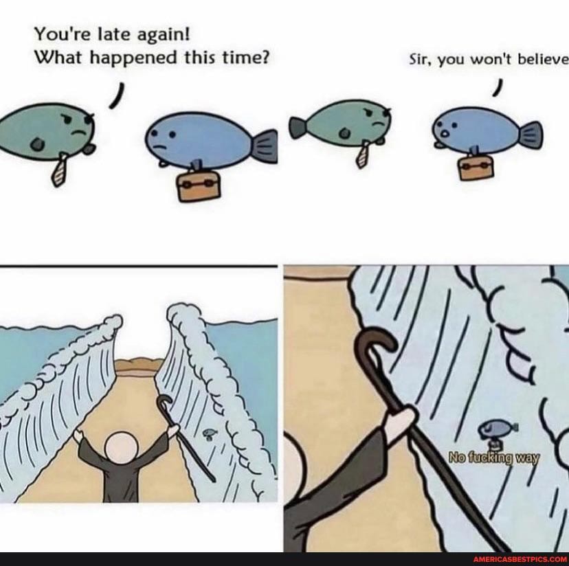 You're late again!
What happened this time? Sir, you won't believe