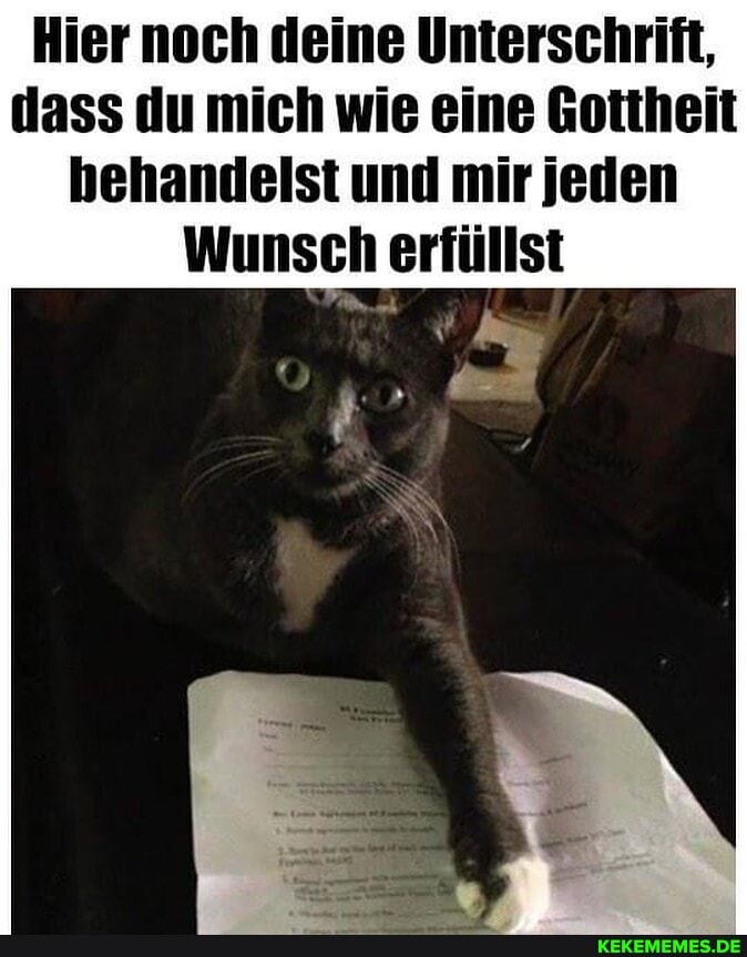 Hier noch deine Unterschrift, dass du mich wie eine Gottheit behandelst und mir jeden
Wunsch erfüllst