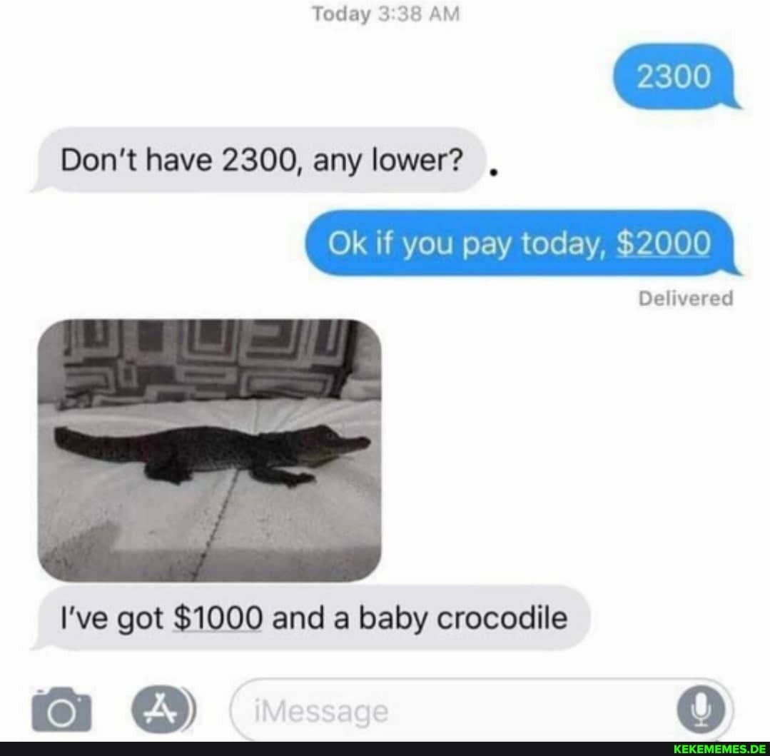 Today AM
Don't have 2300, any lower? ,
Ok if you pay today, $2000
Delivered
I've got $1000 and a baby crocodile
fon (0)